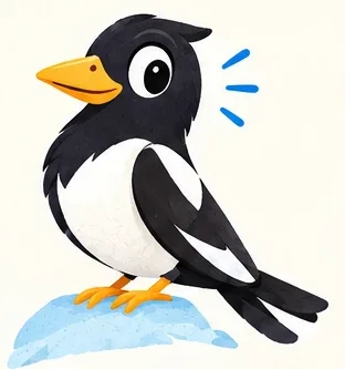 The magpie perched on a rock, keeping watch.